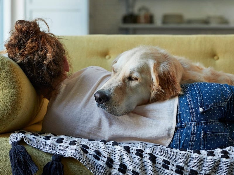 A woman and a dog sleeping on a couch.